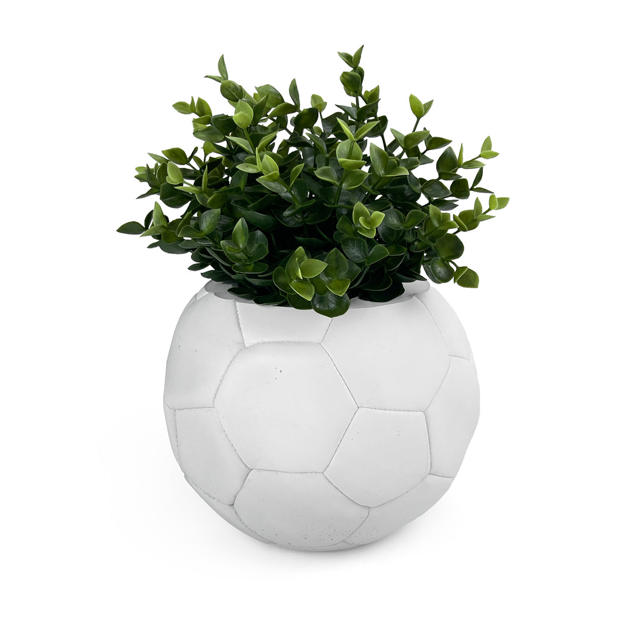 FOOTBALL PLANT POT WHITE