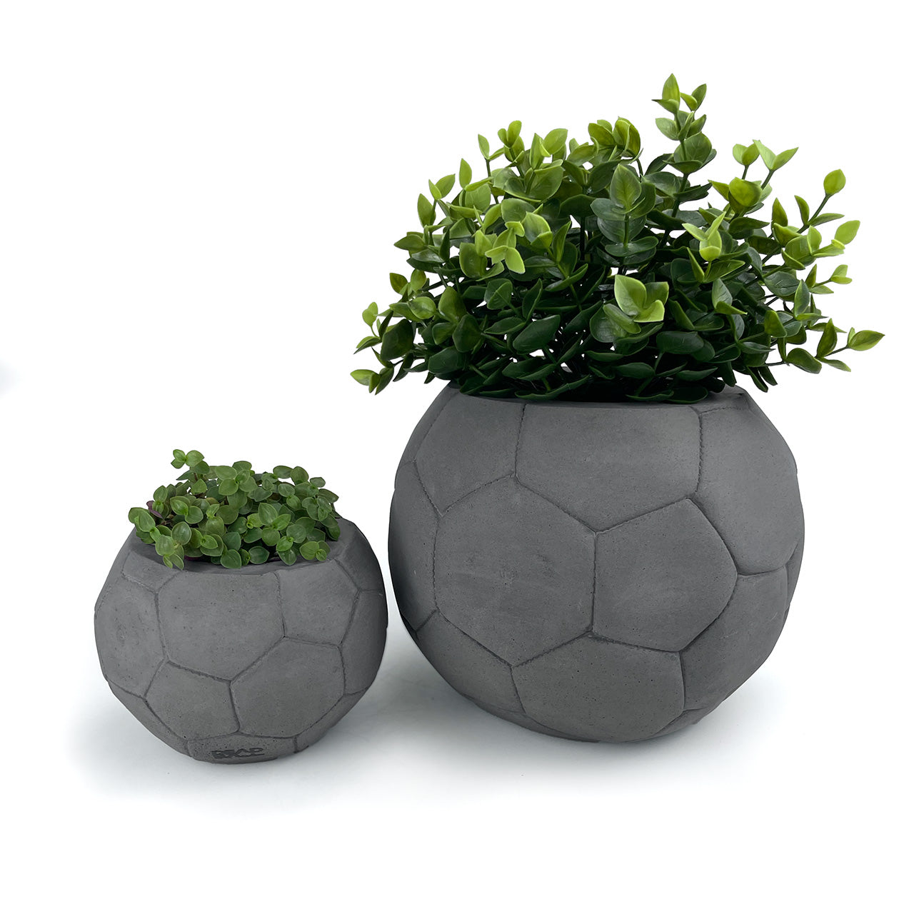 FOOTBALL PLANT POT DARK
