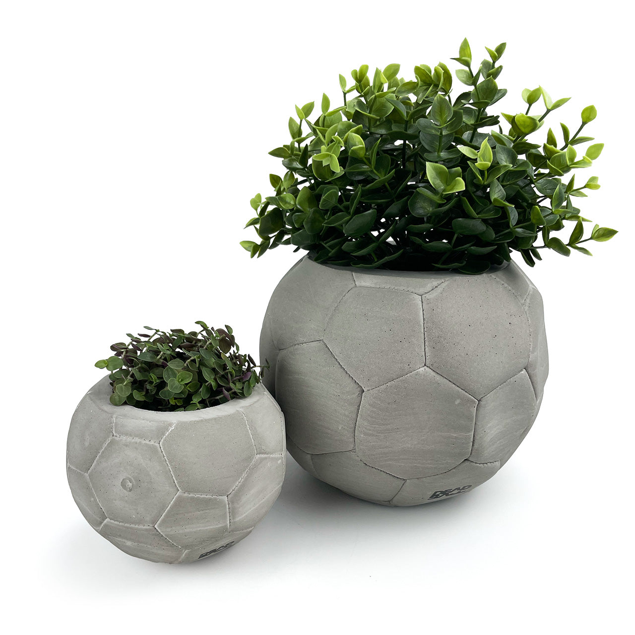 FOOTBALL PLANT POT GREY