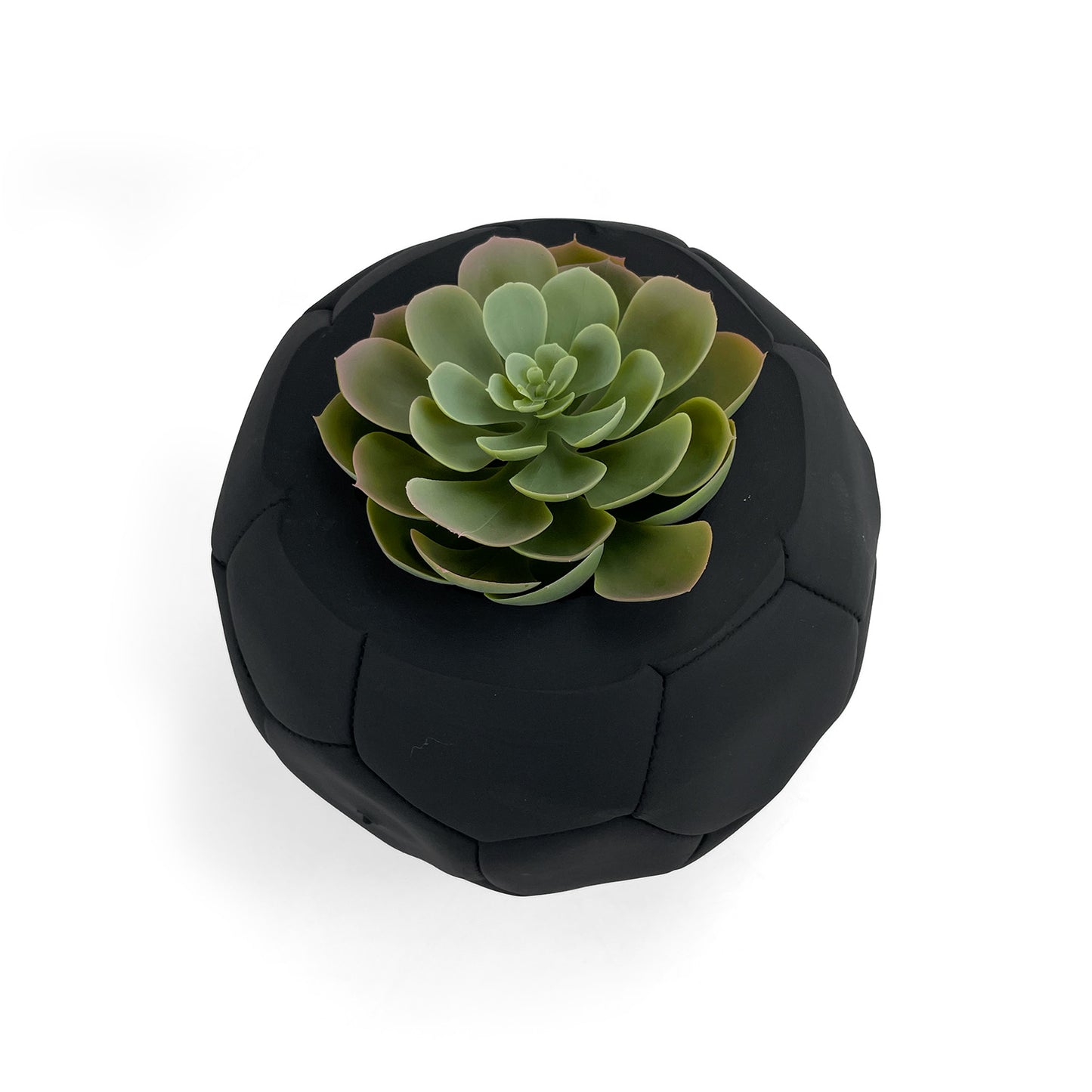 FOOTBALL PLANT POT BLACK