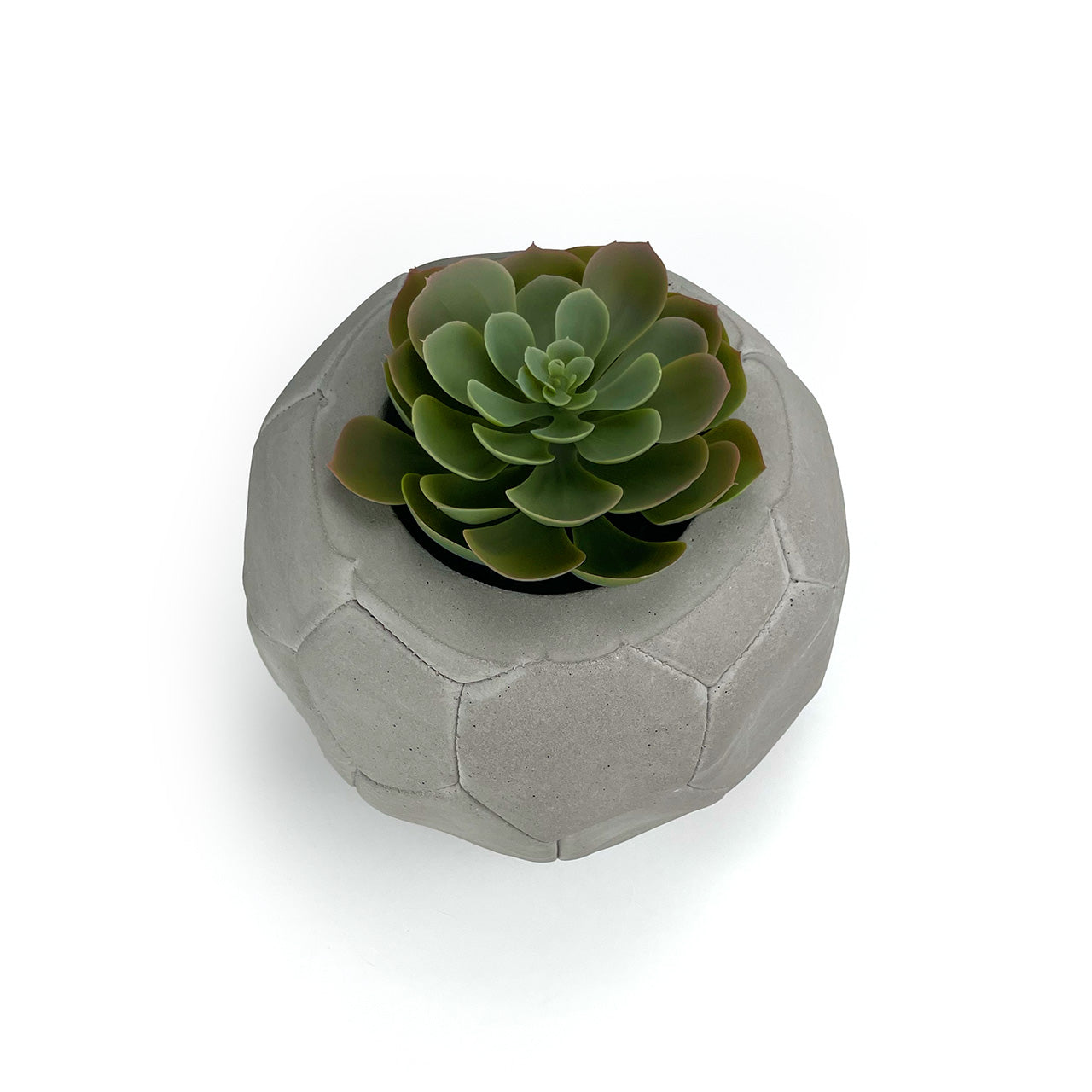 FOOTBALL PLANT POT GREY