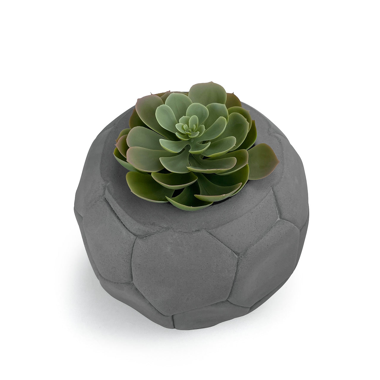 FOOTBALL PLANT POT DARK