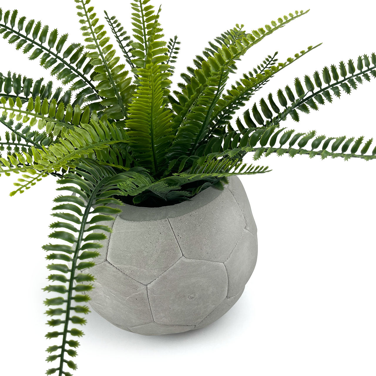 FOOTBALL PLANT POT GREY