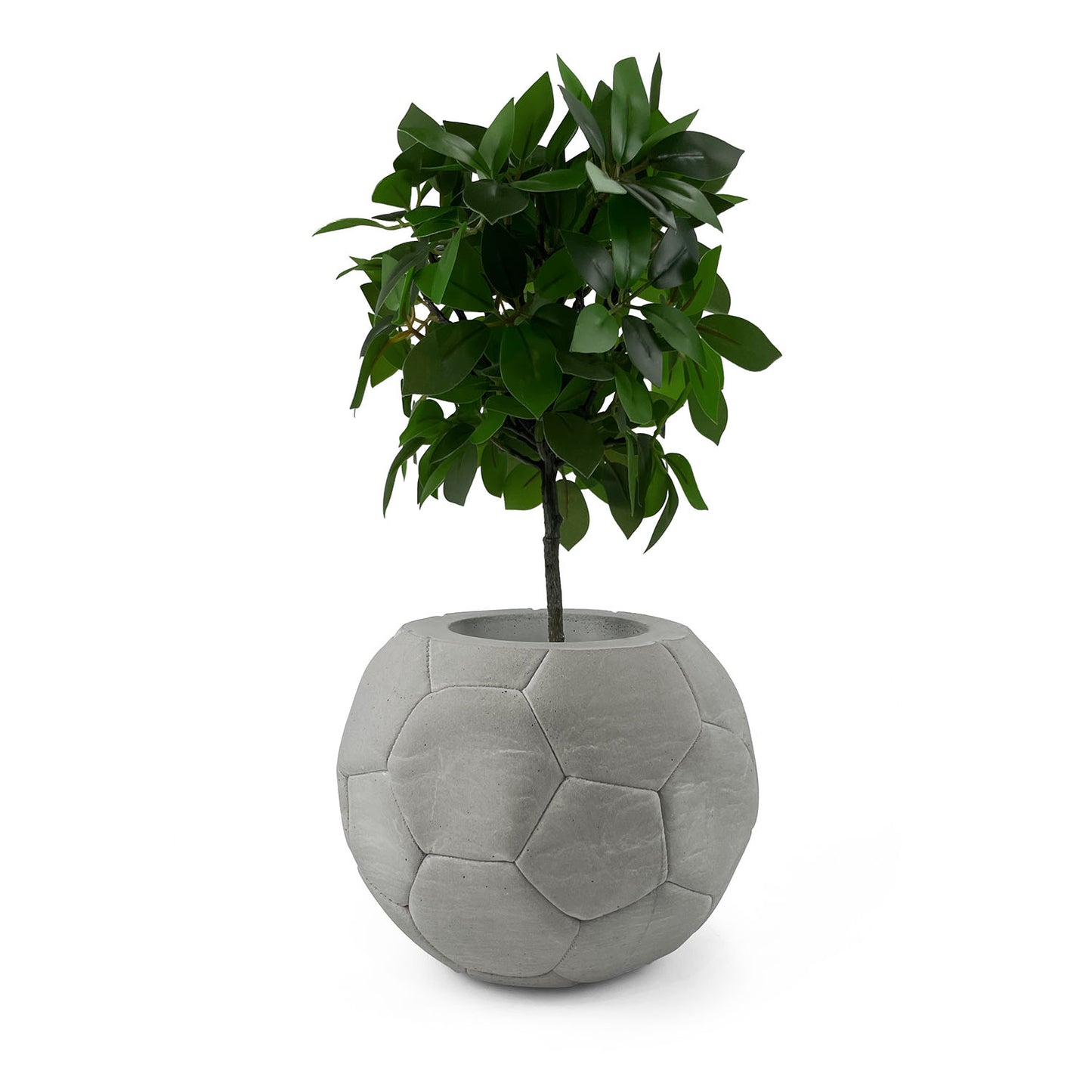 FOOTBALL PLANT POT GREY