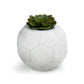 FOOTBALL PLANT POT WHITE