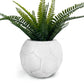 FOOTBALL PLANT POT WHITE