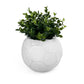 FOOTBALL PLANT POT WHITE