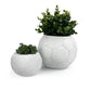 FOOTBALL PLANT POT WHITE