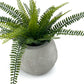FOOTBALL PLANT POT GREY
