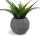 FOOTBALL PLANT POT DARK
