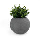 FOOTBALL PLANT POT DARK