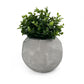 FOOTBALL PLANT POT GREY