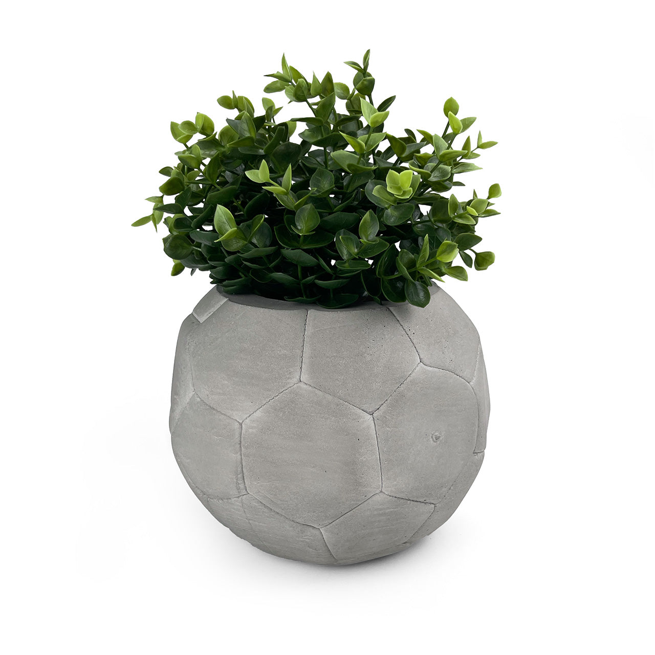 FOOTBALL PLANT POT GREY