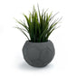 FOOTBALL PLANT POT DARK