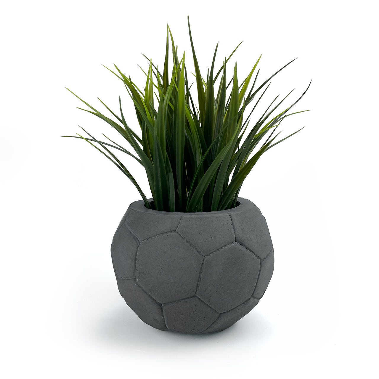 FOOTBALL PLANT POT DARK