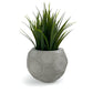 FOOTBALL PLANT POT GREY