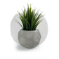 FOOTBALL PLANT POT GREY