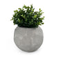 FOOTBALL PLANT POT GREY
