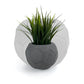 FOOTBALL PLANT POT DARK