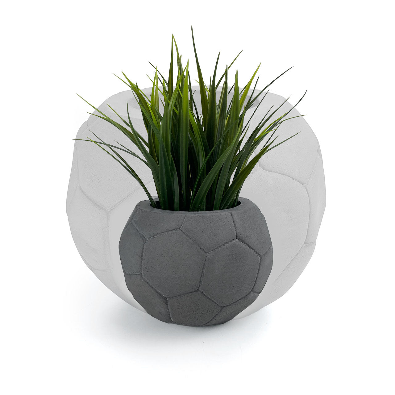 FOOTBALL PLANT POT DARK