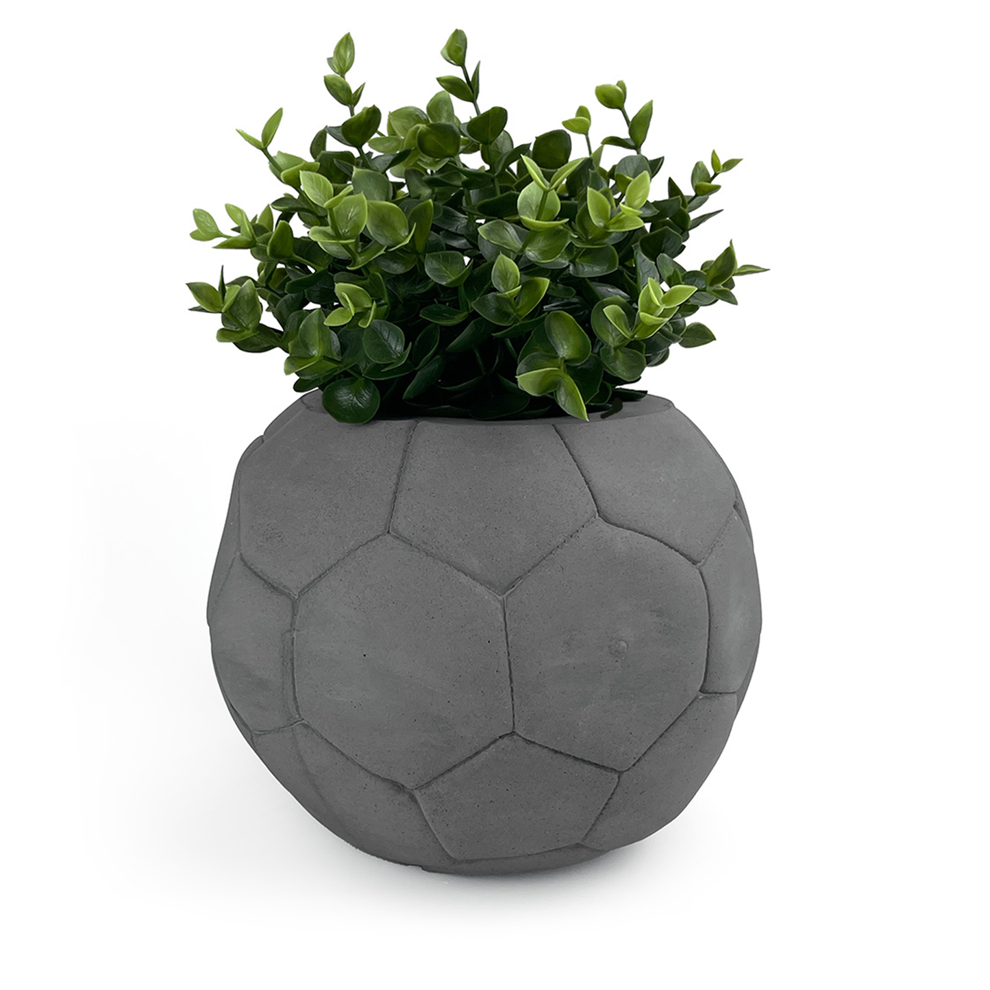 FOOTBALL PLANT POT DARK