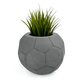 FOOTBALL PLANT POT DARK