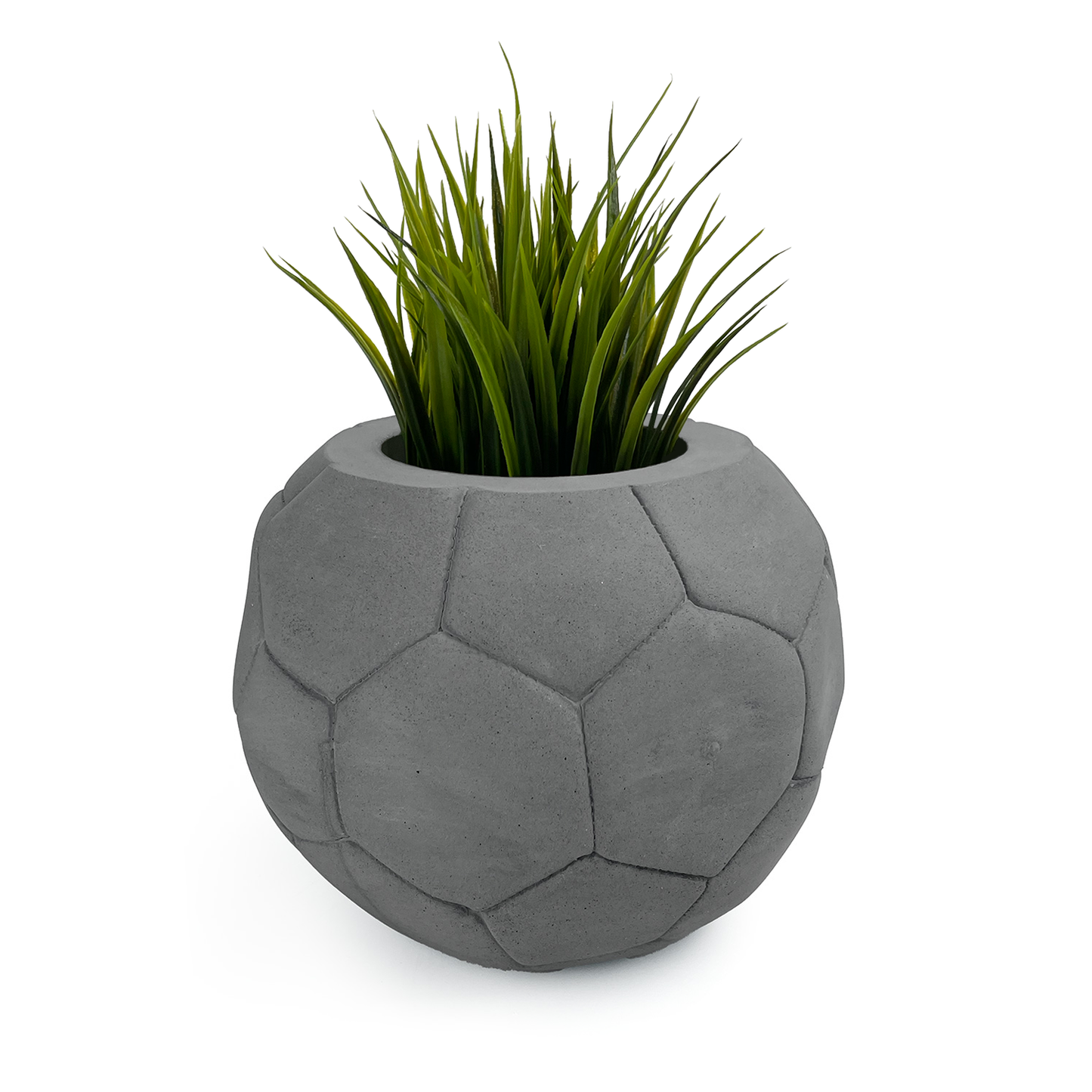 FOOTBALL PLANT POT DARK