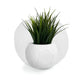 FOOTBALL PLANT POT WHITE