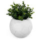 FOOTBALL PLANT POT WHITE