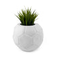FOOTBALL PLANT POT WHITE